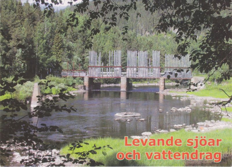 Vykort från Örträsk - Levande sjöar och vattendrag