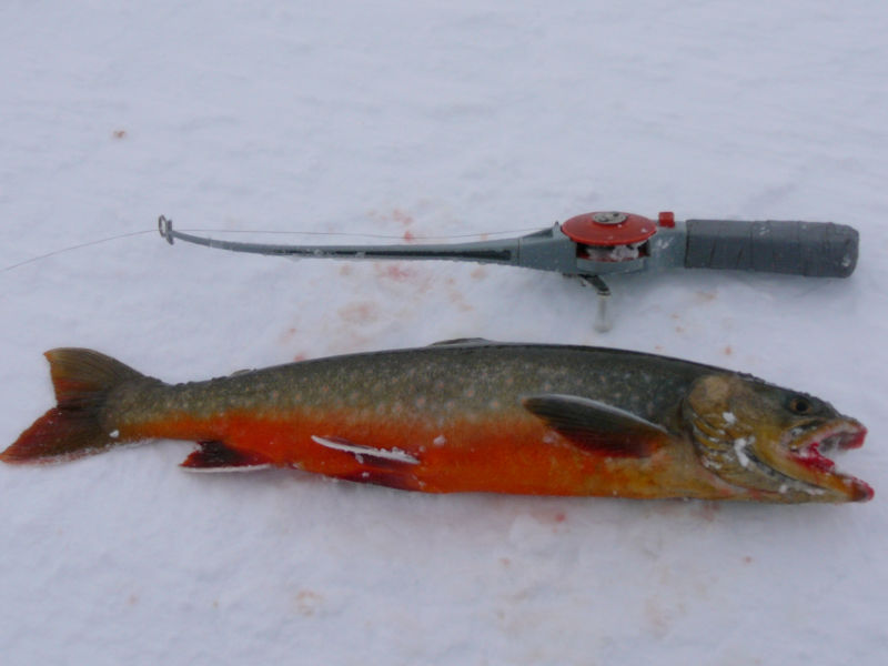 Välkomna att fiska i Vargåhedtjärn