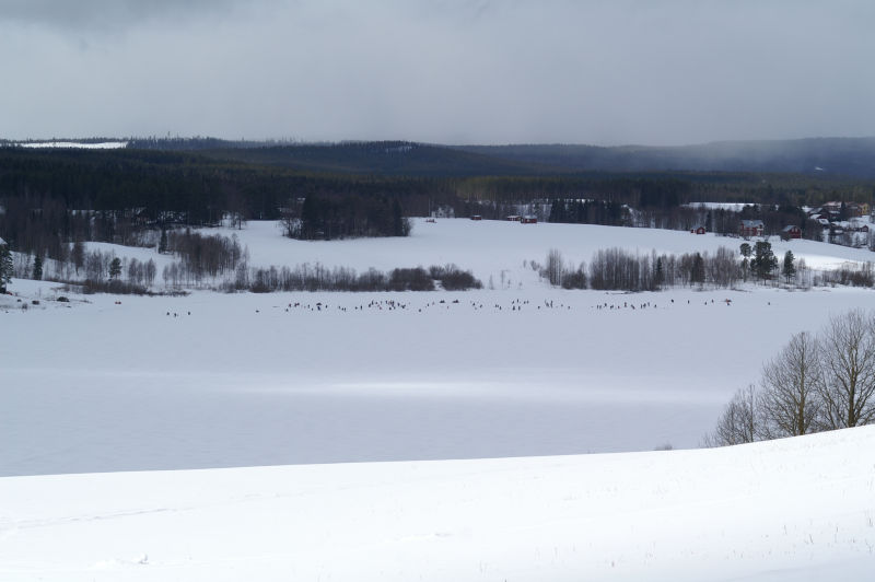 Bilder från pimpeltävling i Örträsk