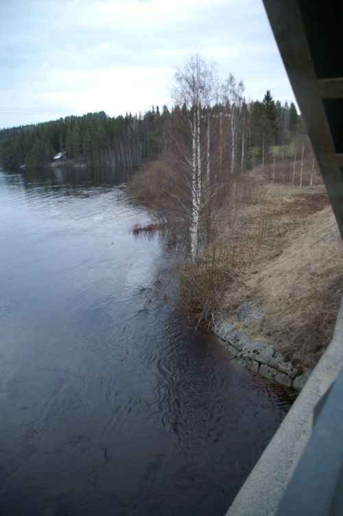 Högt vatten i älven