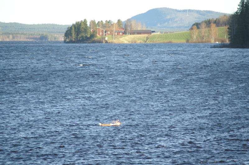 Badsäsongen har börjat?