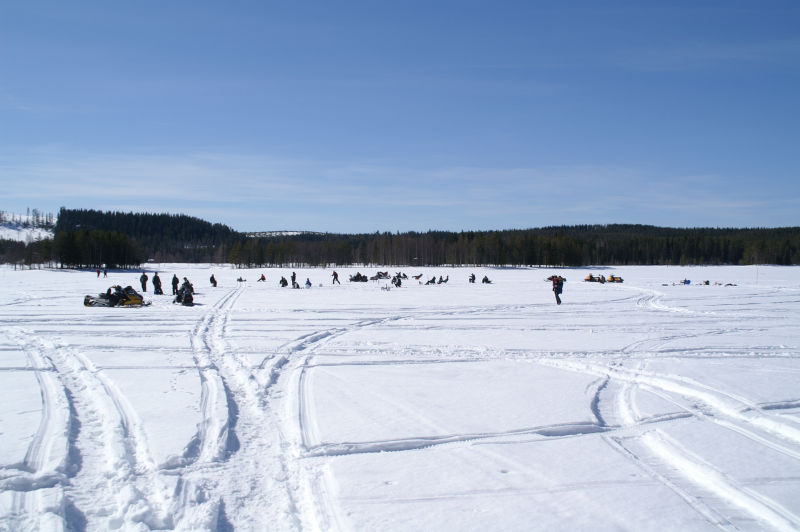 Bilder från pimpeltävlingen i Vargträsk