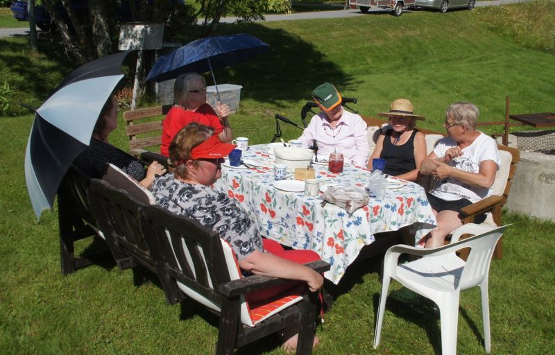 Fika med Ankans vänner