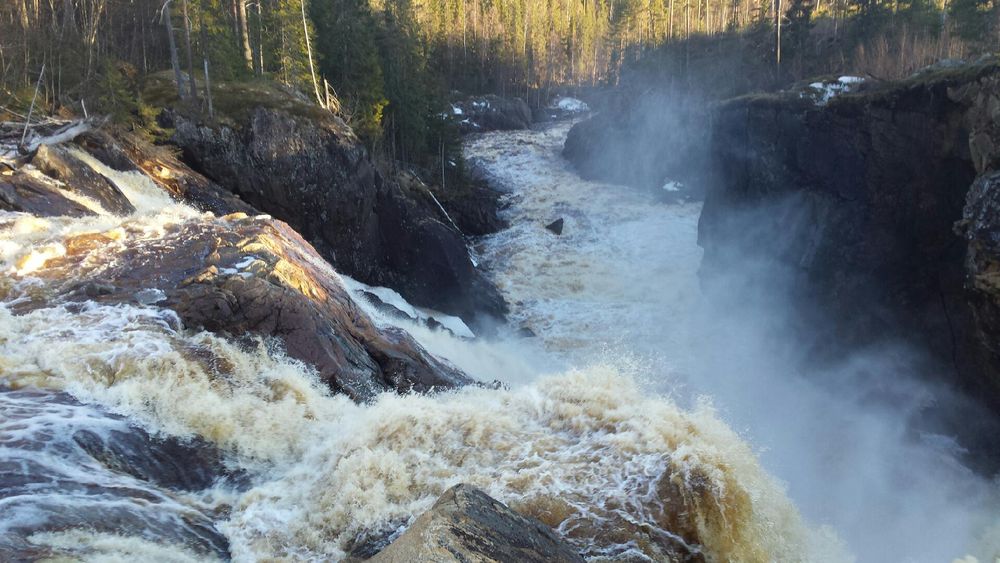 Bilder från Storforsen