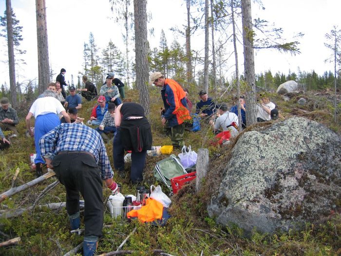 Plantsättning med skotersektionen