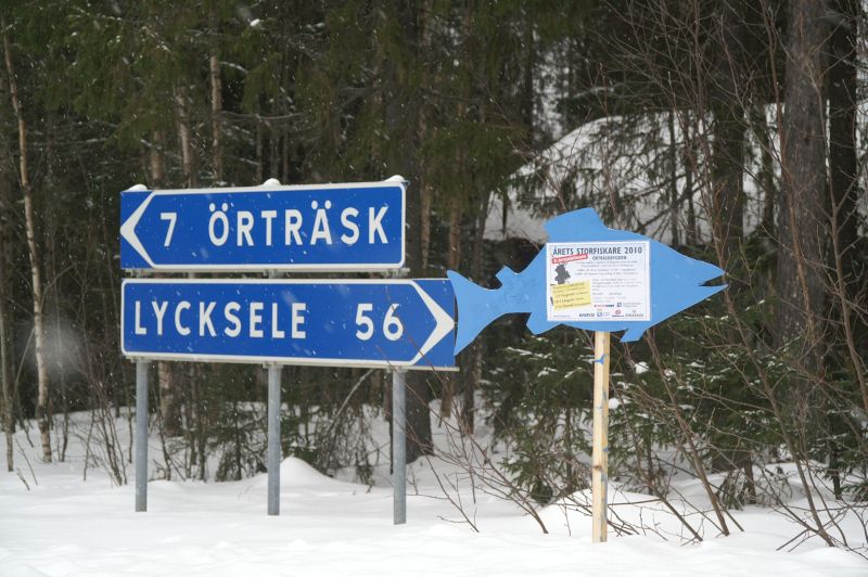 Korsningsfiskar i Örträskbygden