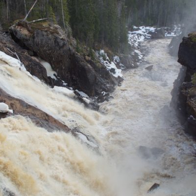 Maj 2023 Nu är Storforsen på gång, rejält med vatten i alla rännor och fåror. Foto: Åke Runnman