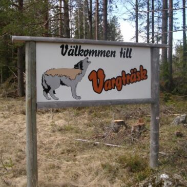 Bingo i Vargträsk