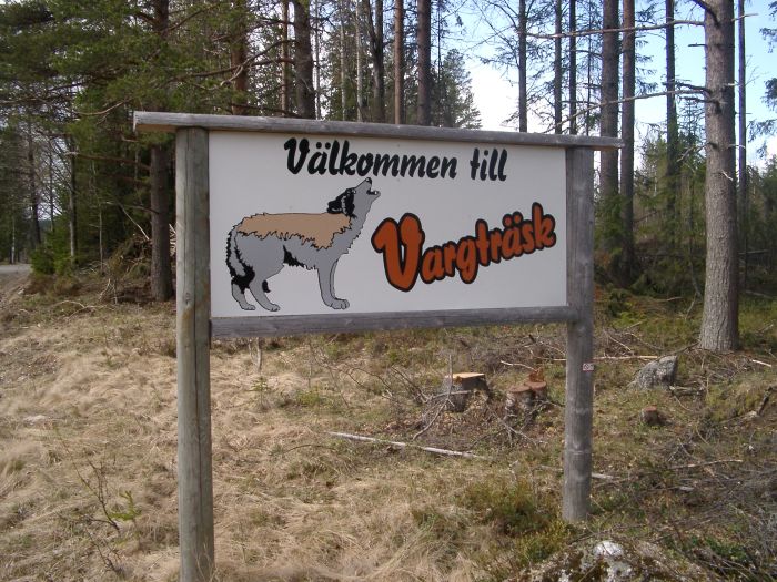 Vargträsk-information