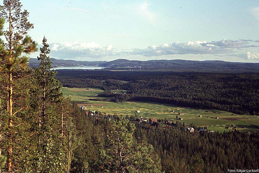 Månadsbild för juli