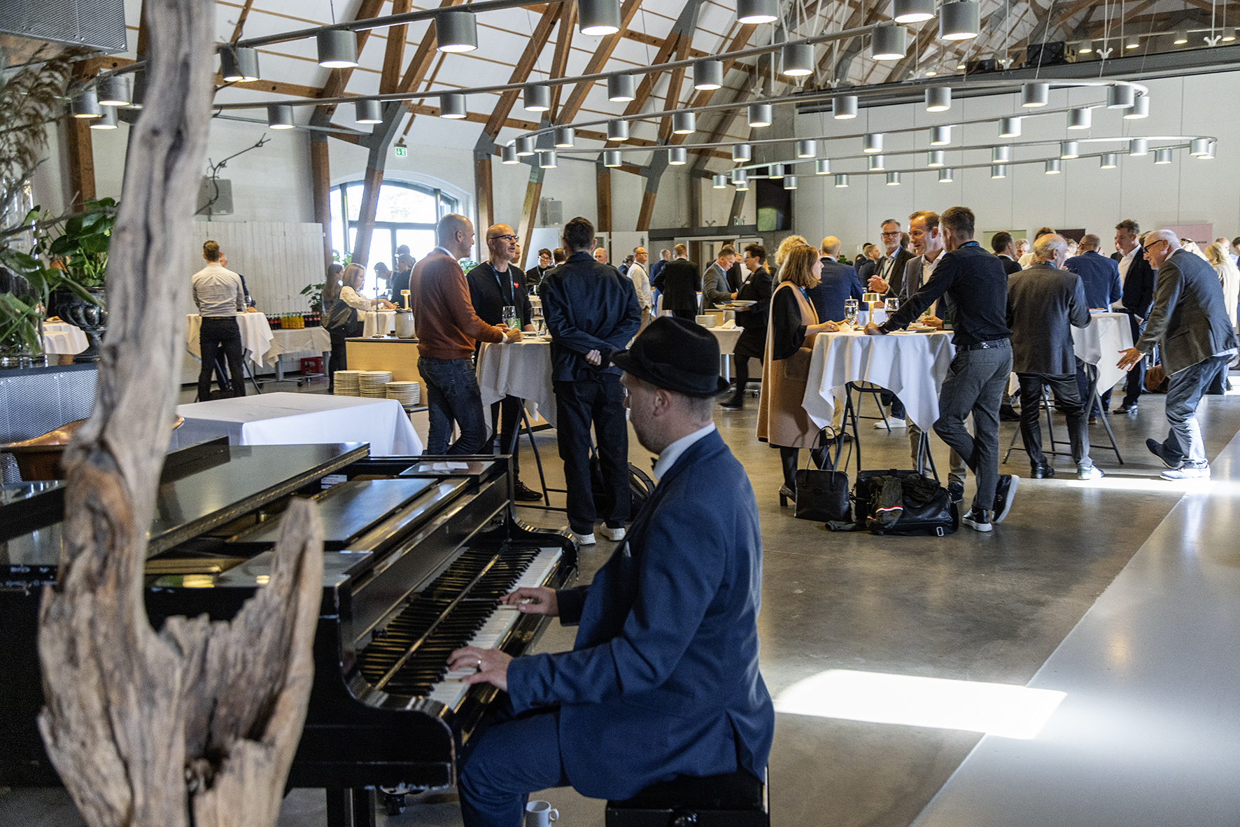 Pianist til reception