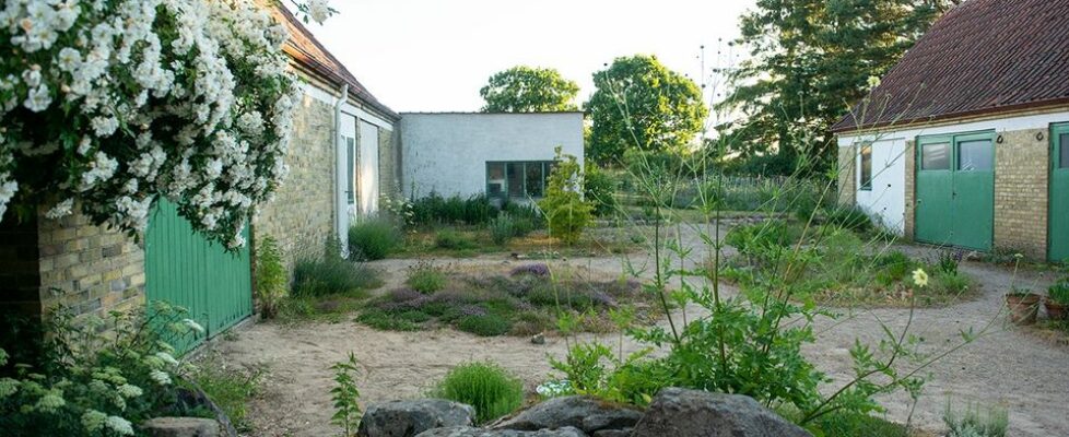 Skapa en trädgård med liv i: En föreläsning med Sophia Callmer
