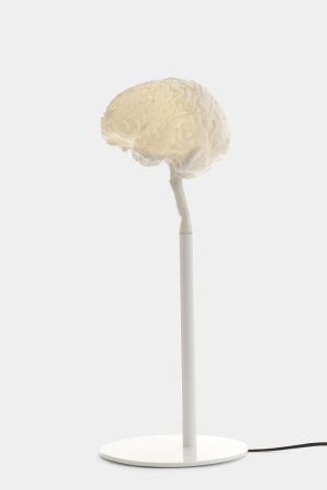Alexander_Lervik, My brain Alexander_Lervik, My brain