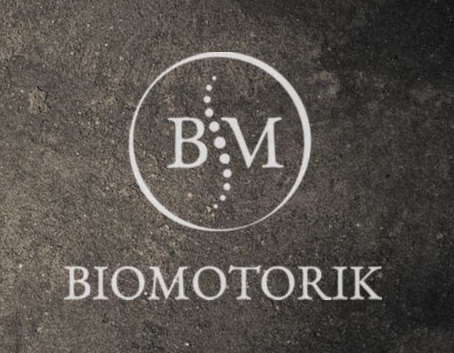 Biomotorik nach Monika Buhl