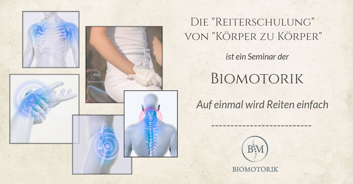 Read more about the article „Die Reiterschulung“ – Biomotorik