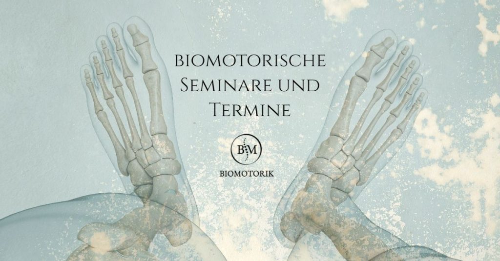 BIOMOTIRIK-Seminare