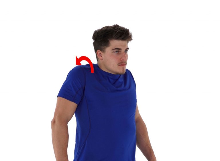 Physio Exercise for Levator Scapulae Muscle Pain Syndrome Osteopathy and Physiotherapy in