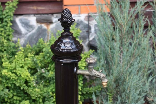 Water column: water column "Irna" with tap and separate drinking trough