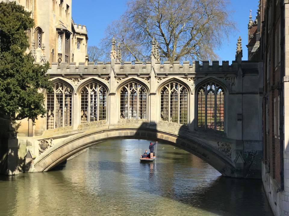 Cambridge Oxbridge Admissions University mentor tutor A levels GCSE