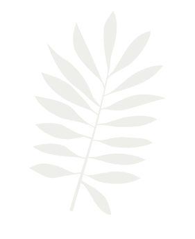 Leafs