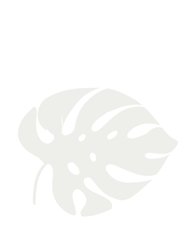 Leafs
