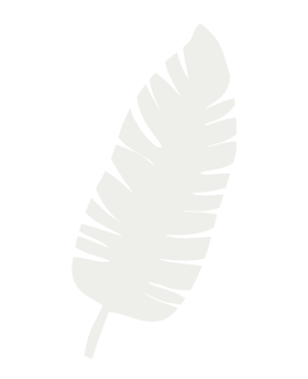 Leafs