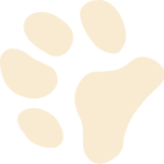 paw