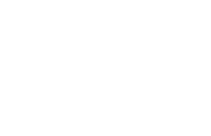 Idebyg
