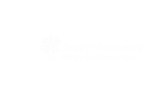 steens plante