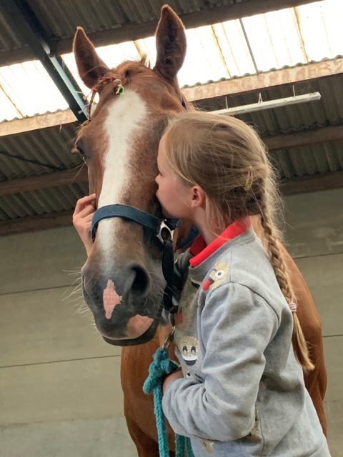 gips Cumulatief Luchtvaartmaatschappijen Pony- en paardenkamp | Panta Rhei Vzw