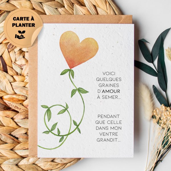 carte à planter annonce de grossesse