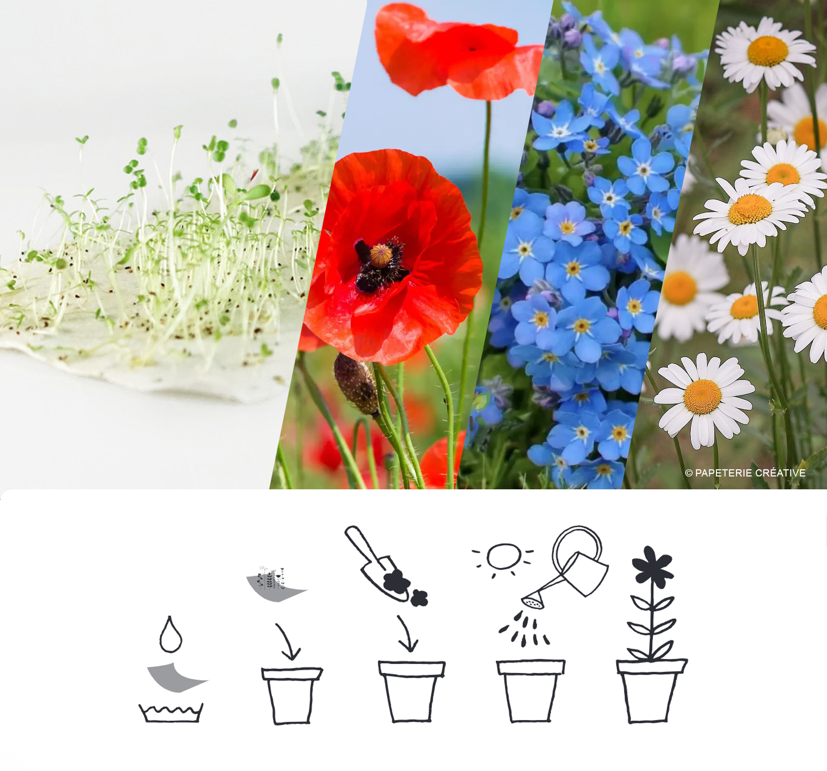Carte à planter