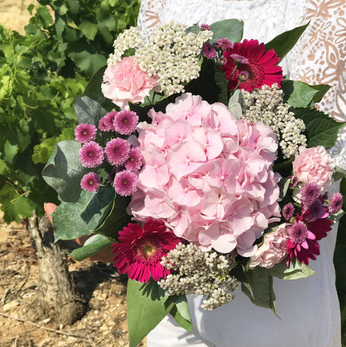 Hortensias