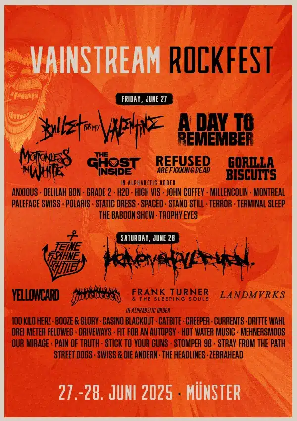 vainstream festival 2025