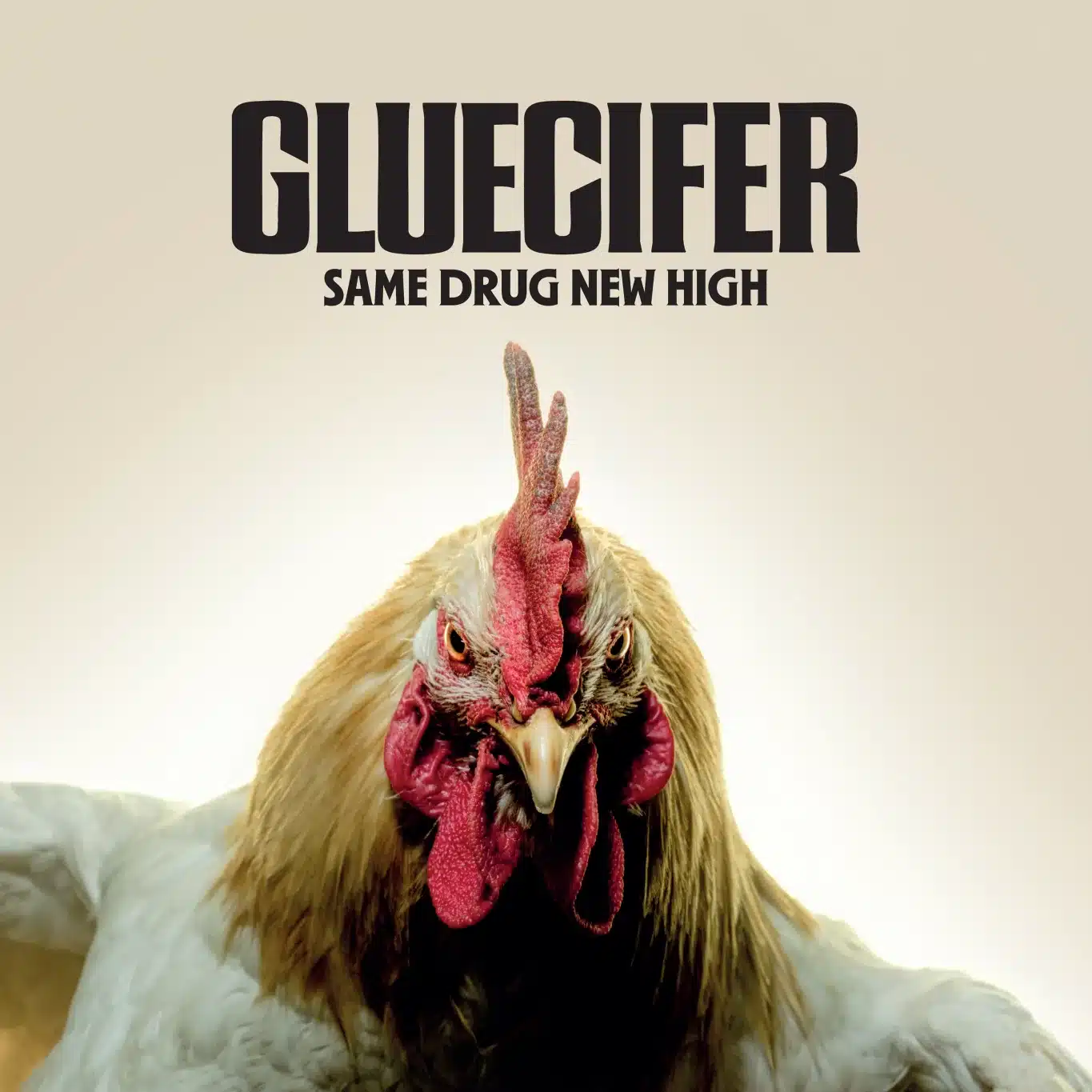 Same Drug New High – GLUECIFER zünden ihr Comeback-Feuerwerk