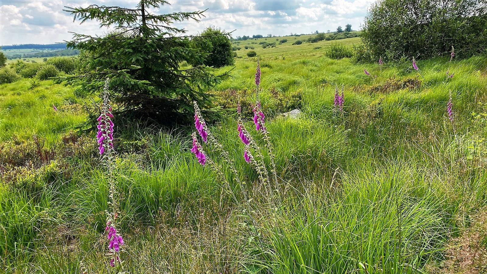 Zintuigen centraal tijdens Beleefweek Limburg - ParkstadActueel