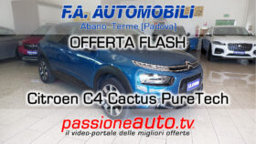 Citroen C4 Cactus PureTech