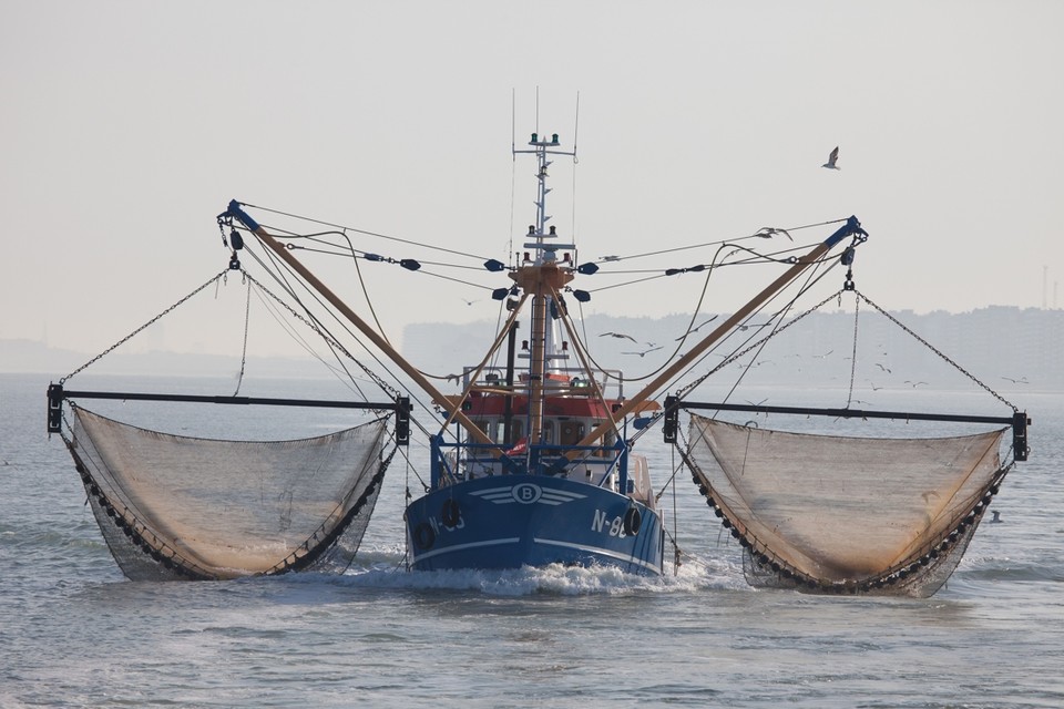 In dezelfde boot