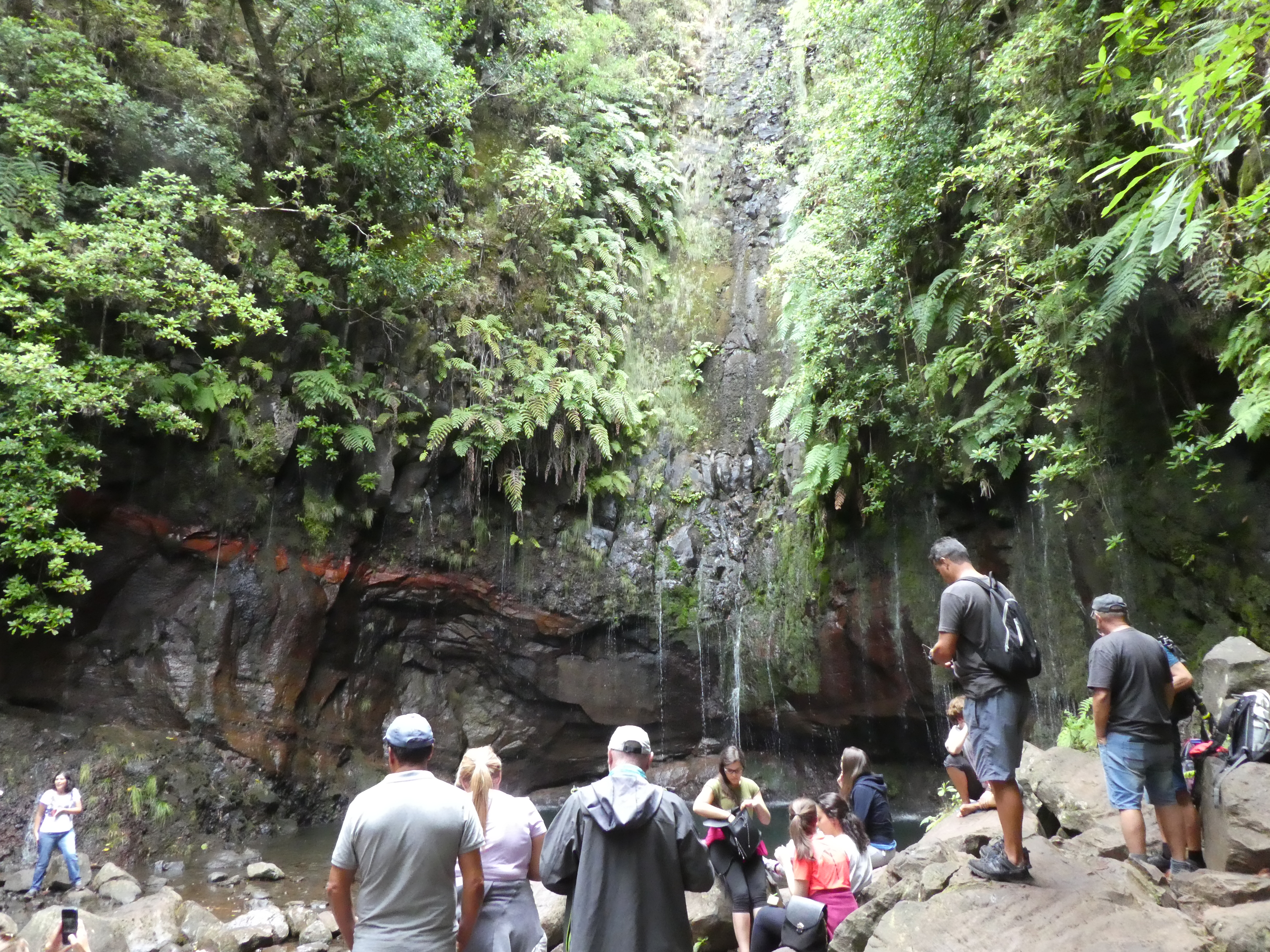 Touristenansturm 25 Quellen Lorbeerwald Madeira