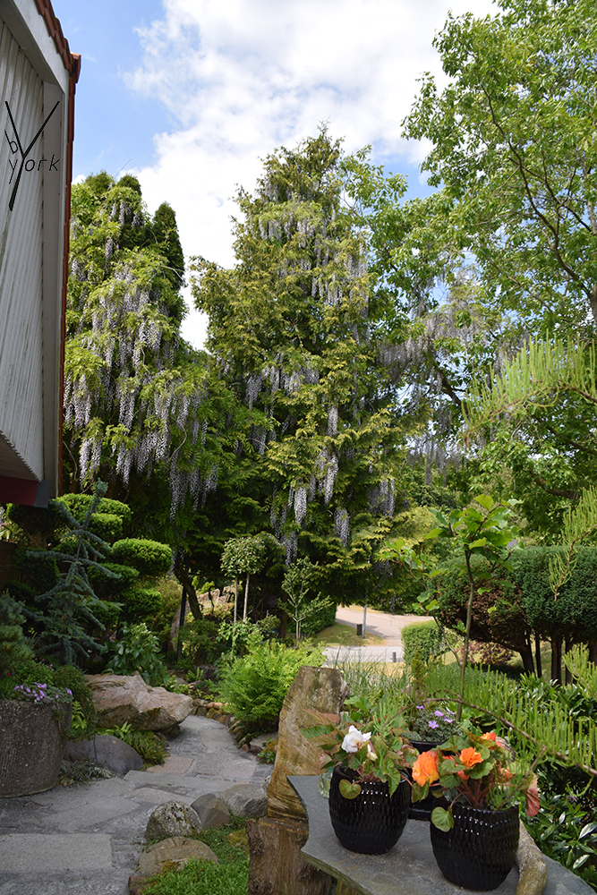 japansk have i videbæk, garden of york