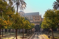 Patios-de-los-Naranjos-de-la-Mezquita-Catedral-de-Córdoba