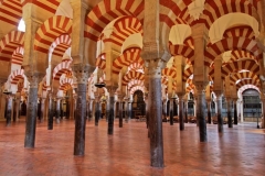 Bosque-columnas-Mezquita-Córdoba