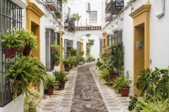 Calle-típica-en-la-judería-con-plantas-y-flores