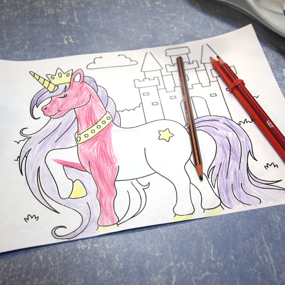 IMG_4533