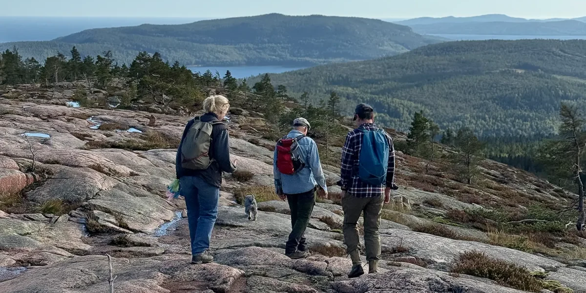 Vandring i Världsarvet Höga Kusten. Vandrare på Slåttsdalsberget i Skuleskogens nationalpark med vy över skog och hav.