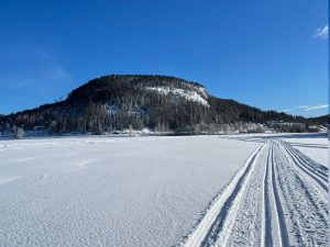 Vågsfjärden