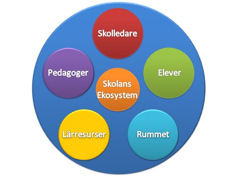 Skolans ekosystem