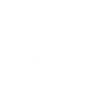 idea icon