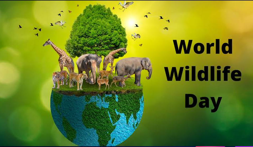 World Wildlife Day
