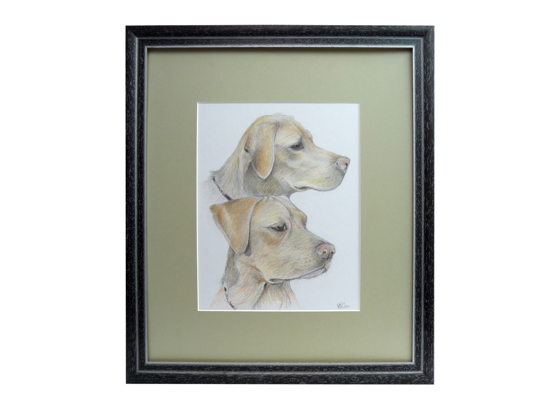 Labrador Photo Frame Golden Labradors | Perfectly Framed